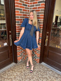 Ditsy Denim Dress: Dark Indigo