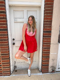 Picnic In The Park Dress: Red Gingham