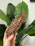 Penny for your Thoughts: Leopard