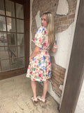 PLUS Rose Harmonies Dress: Multi