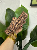 Penny for your Thoughts: Leopard