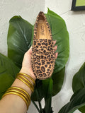Penny for your Thoughts: Leopard