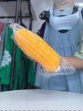 Jumbo Food Squishy